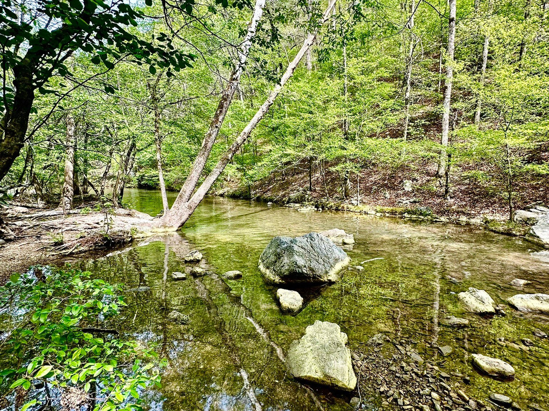 Lake Catherine State Park-温泉城必去景点
