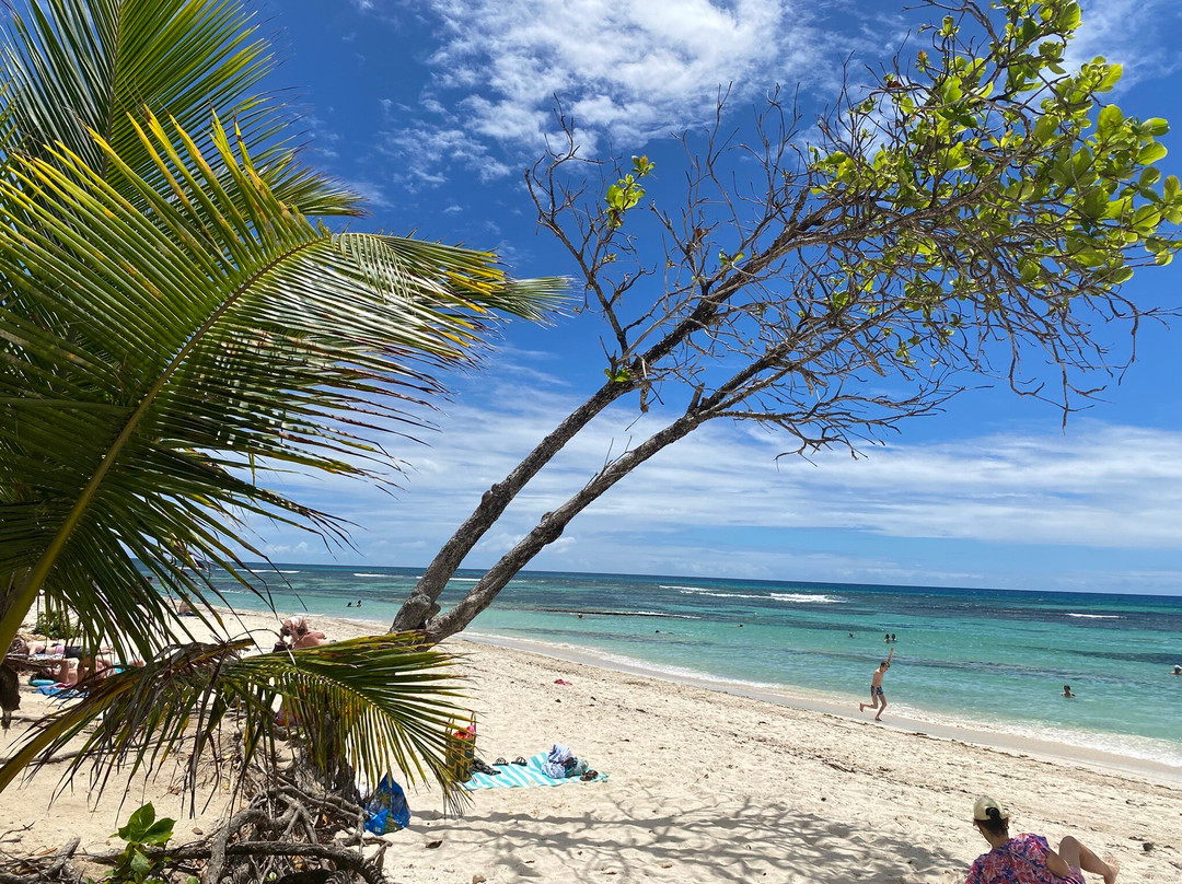 Plage des Raisins Clairs-Saint Francois必去景点