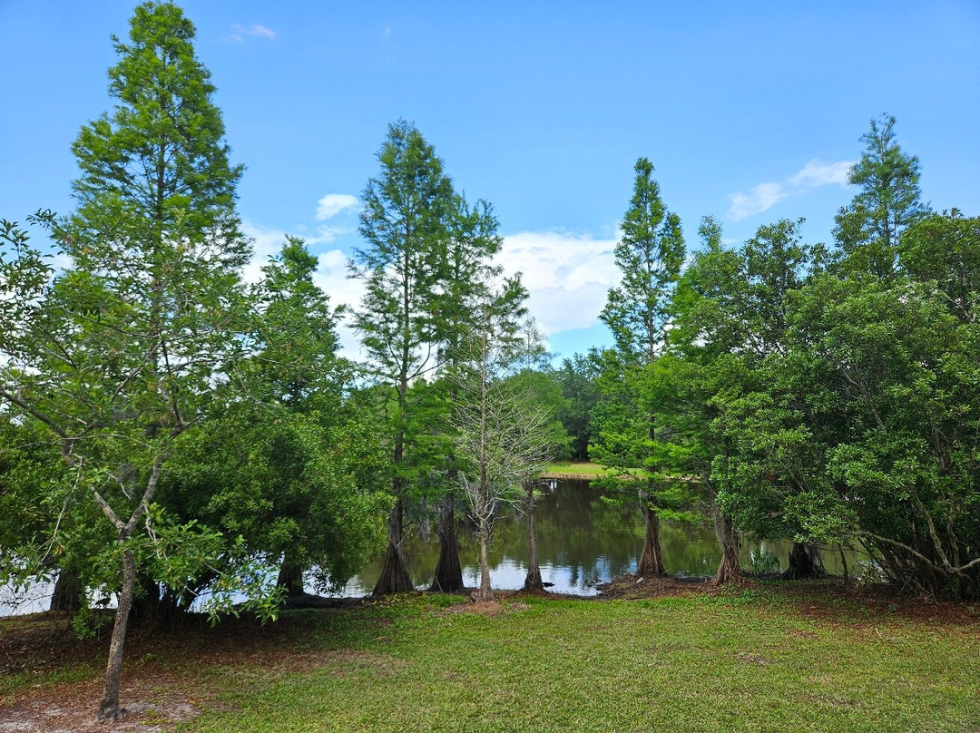 South Lake Howard Nature Park-温特黑文必去景点