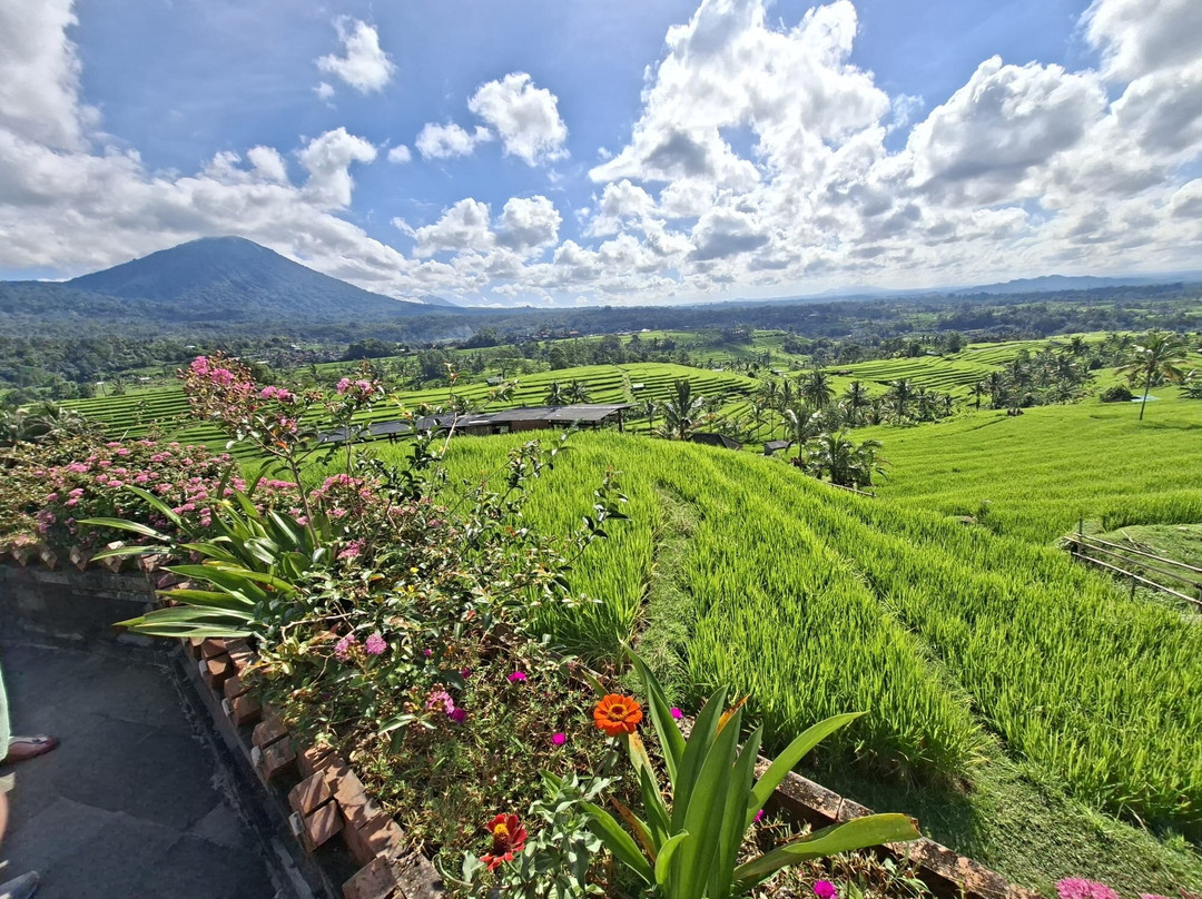 Jatiluwih Cycling & E-bike Tours With Bali By Pedals-达巴南必去景点