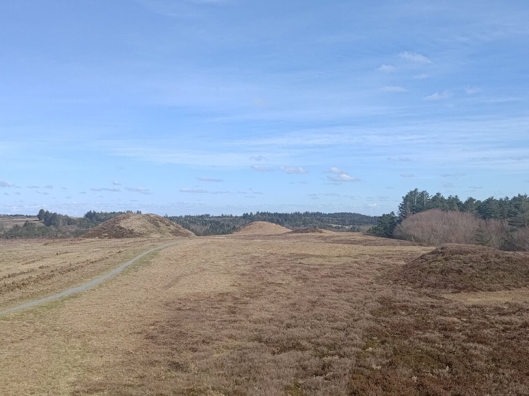 Ydby Hede-Ydby必去景点