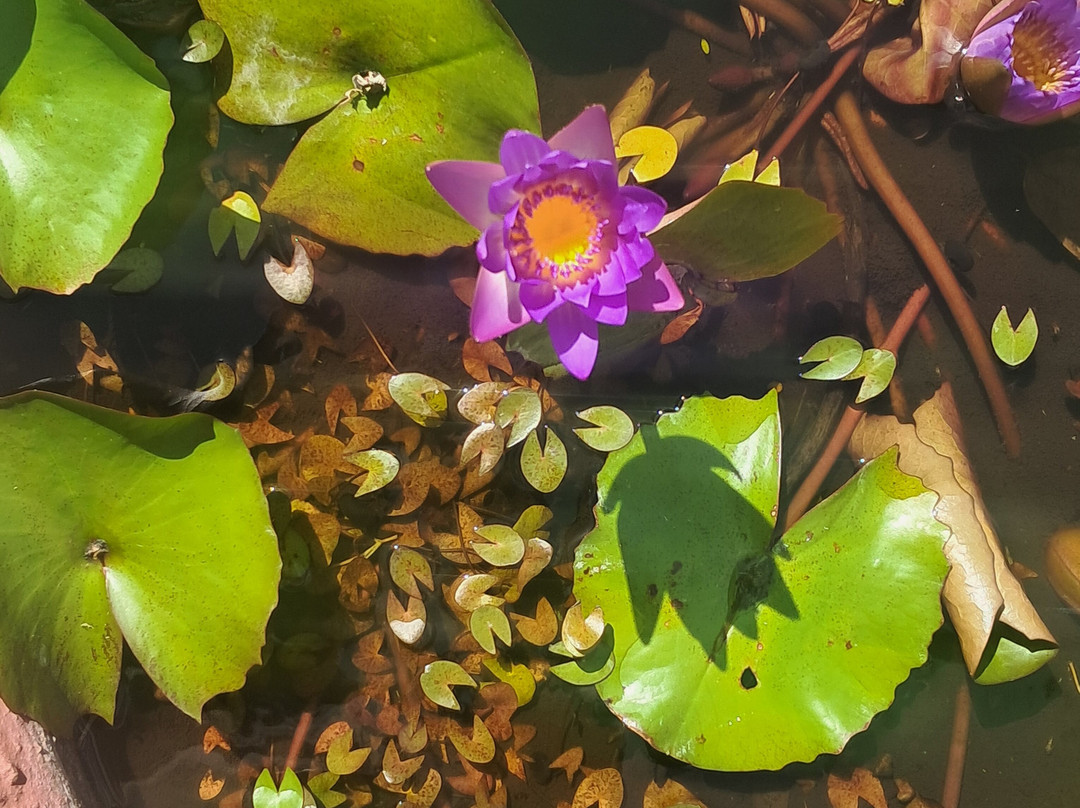 塞尔斯塔酒店主图