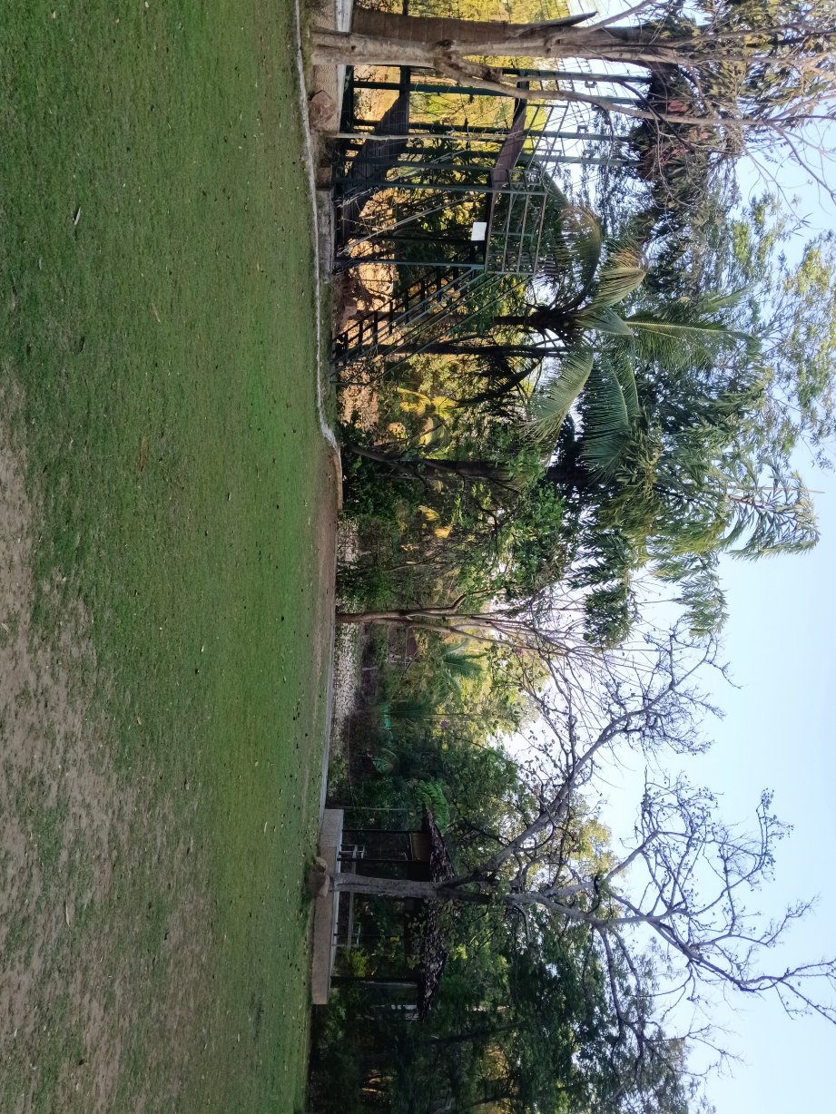 扎斯图彭奇-旅行者