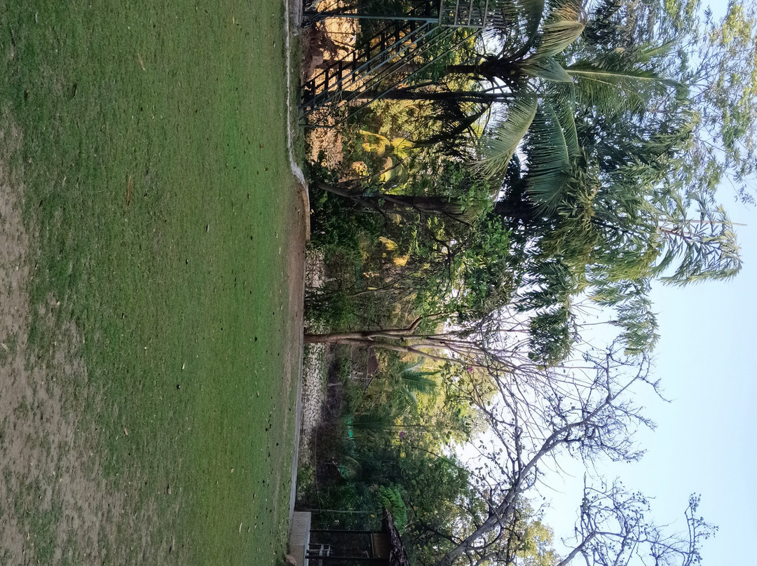 扎斯图彭奇主图