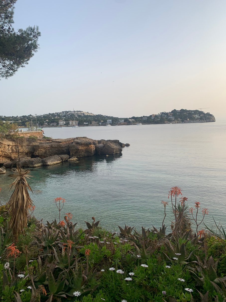 海上花园TRH住宿-旅行者