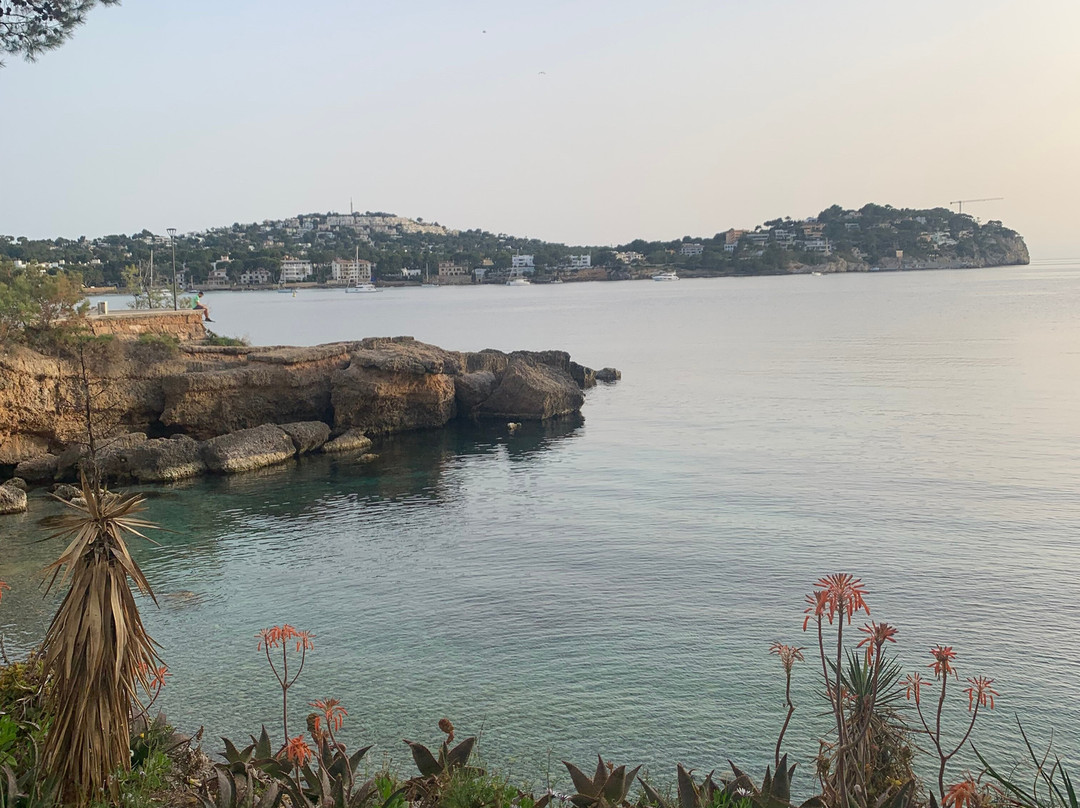 海上花园TRH住宿主图