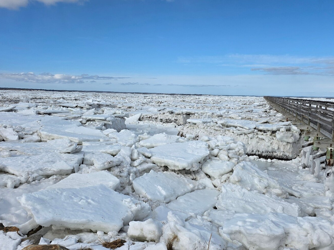Gray's Beach-Yarmouth Port必去景点