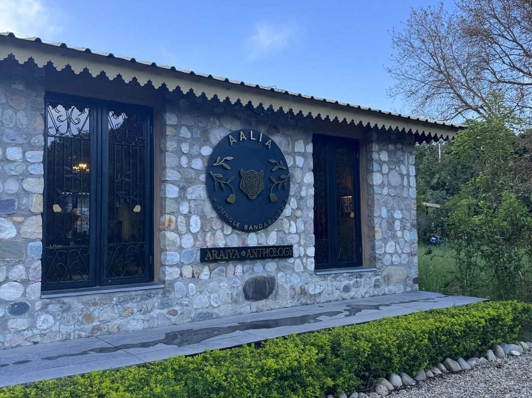 Aalia丛林班达再次主图