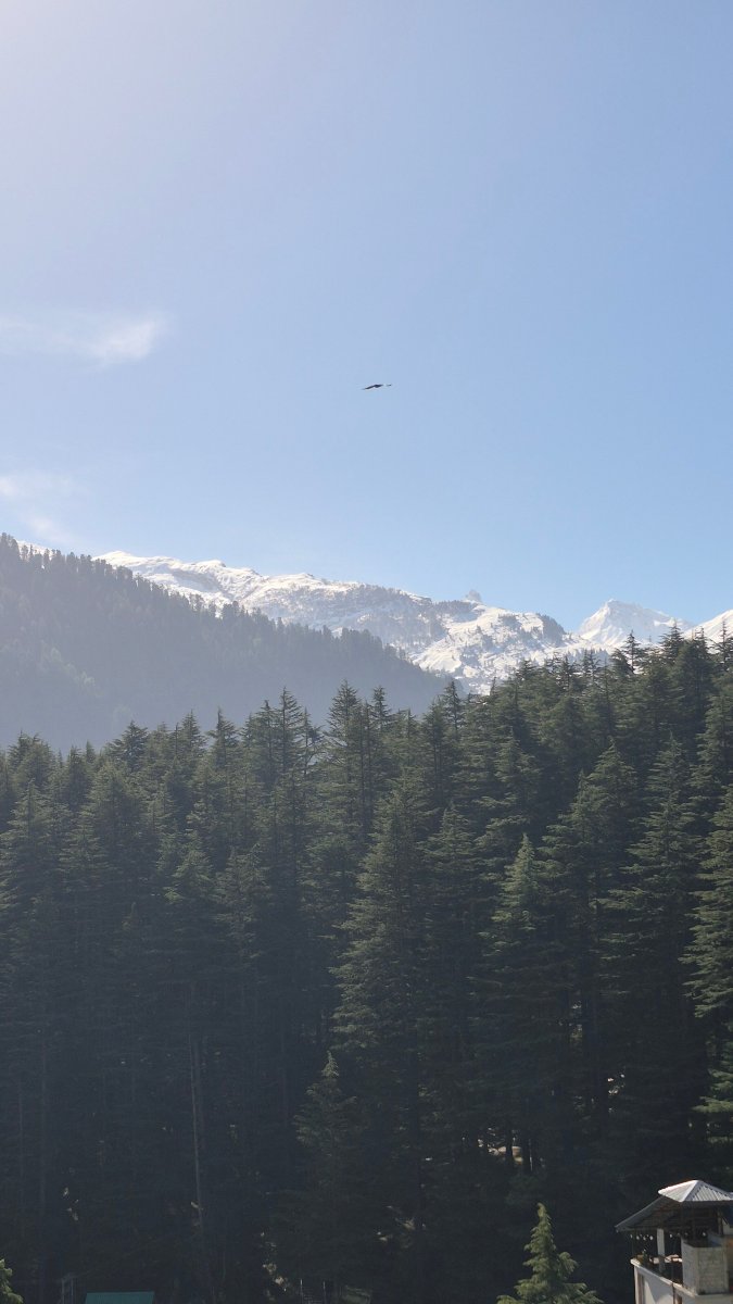 马拉里果园草坪酒店-旅行者