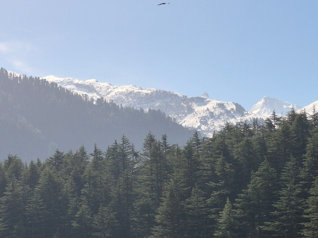 马拉里果园草坪酒店主图