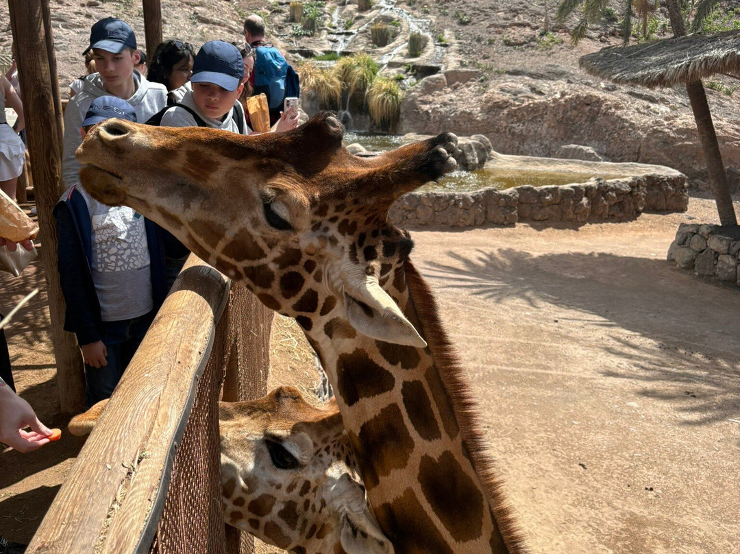 Oasis Park Fuerteventura-La Lajita必去景点
