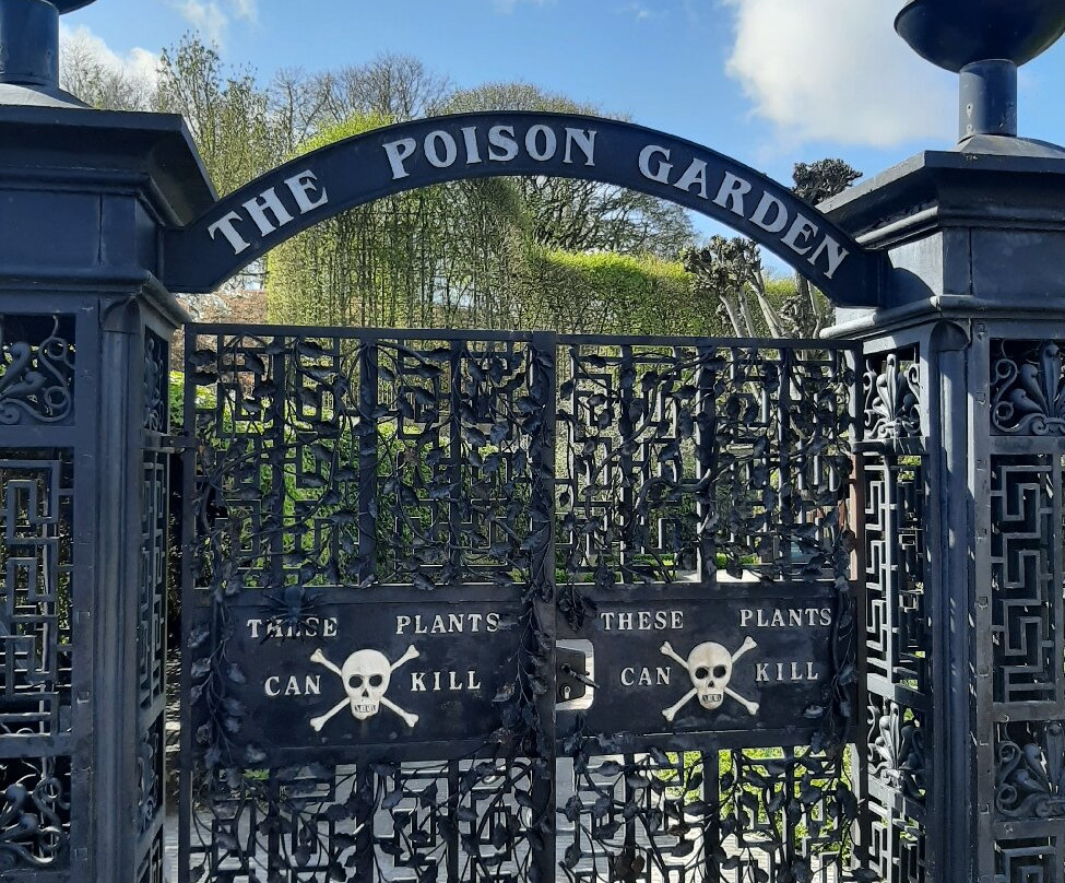 The Alnwick Garden-阿尼克必去景点