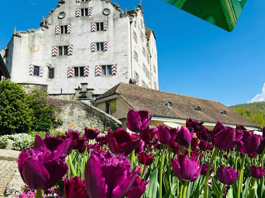 Schloss Wildegg-Wildegg必去景点