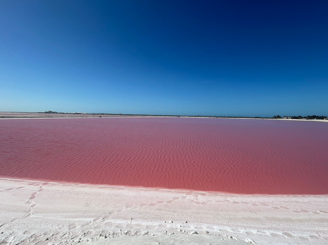 Las Coloradas-里奥拉加托斯必去景点