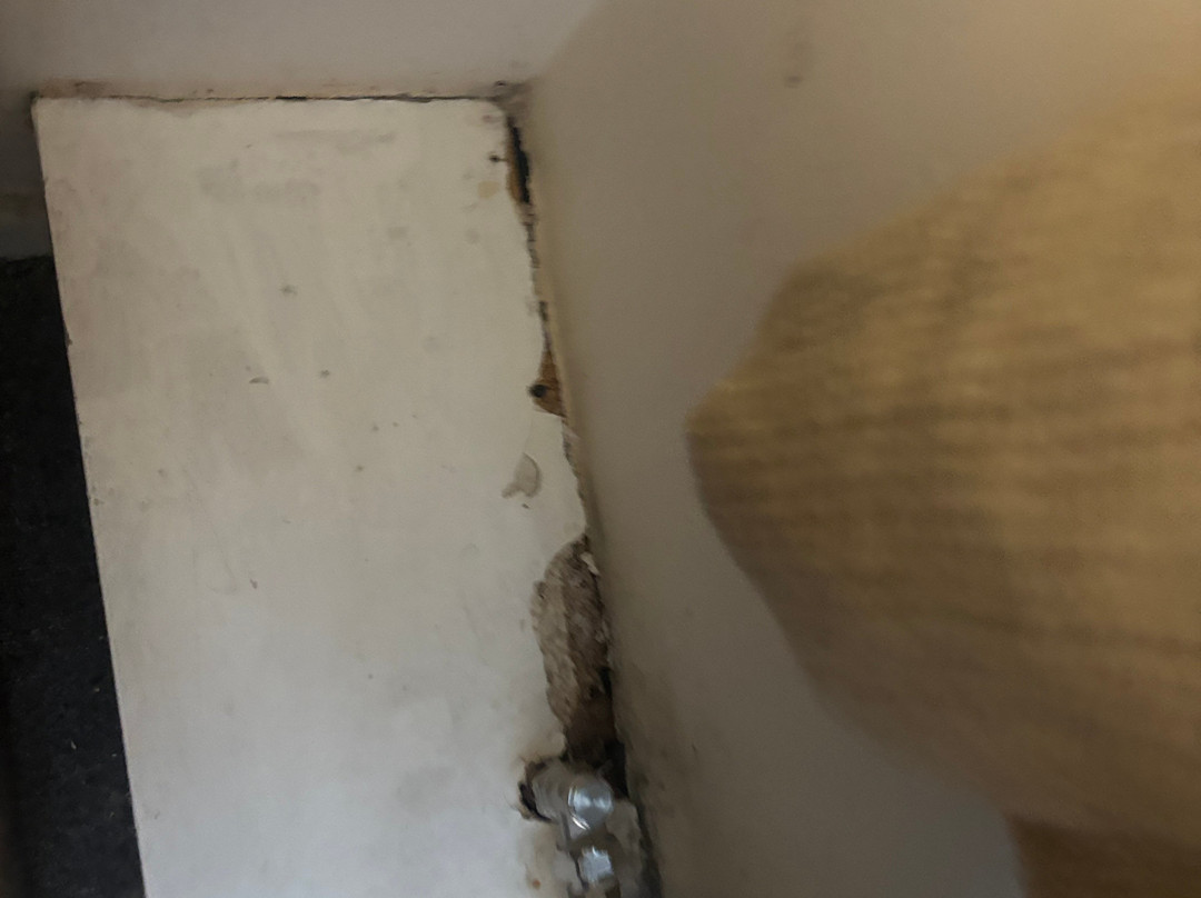 卡林顿豪斯酒店主图