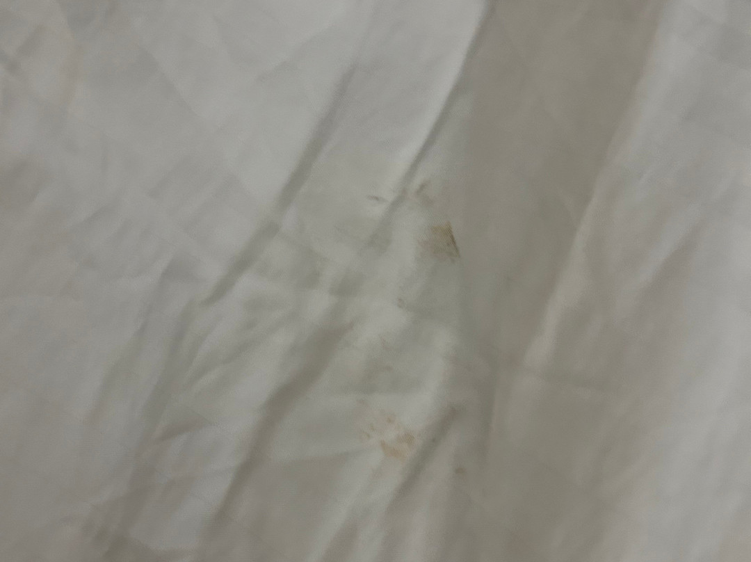 鲍灵格林贝斯特韦斯特优质酒店主图