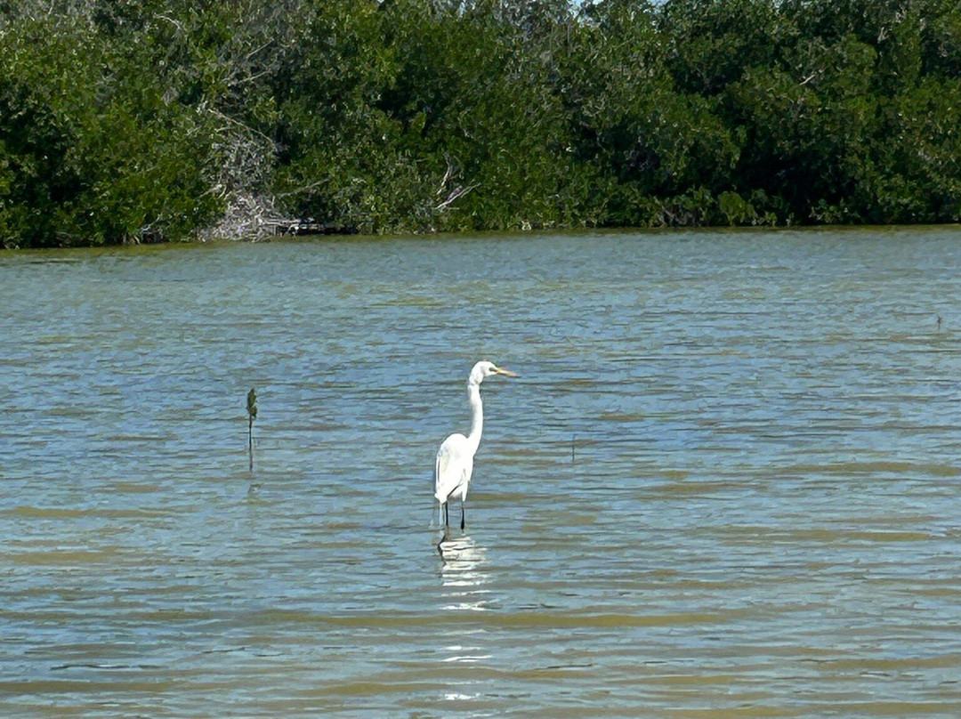 Parque Natural Ria Lagartos-里奥拉加托斯必去景点
