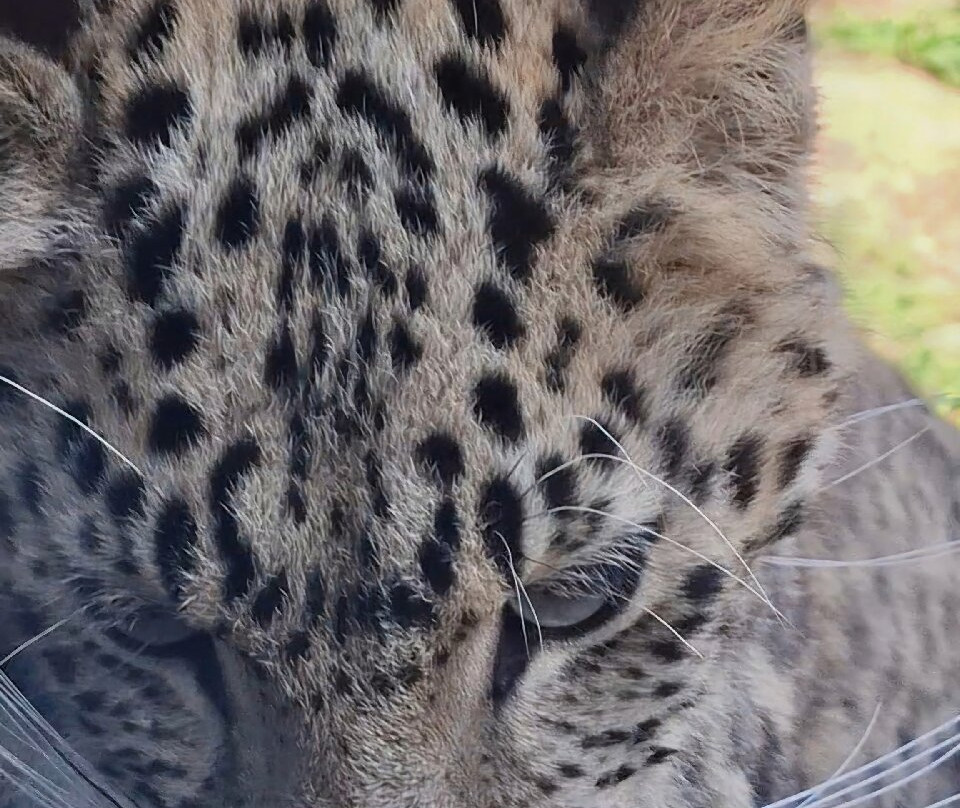 EcoZonia - Parc Animalier-Cases de Pene必去景点