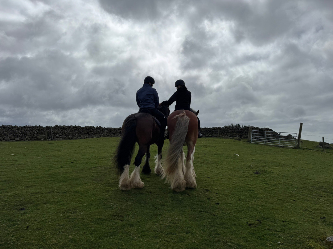 Cumbrian Heavy Horses-Millom必去景点