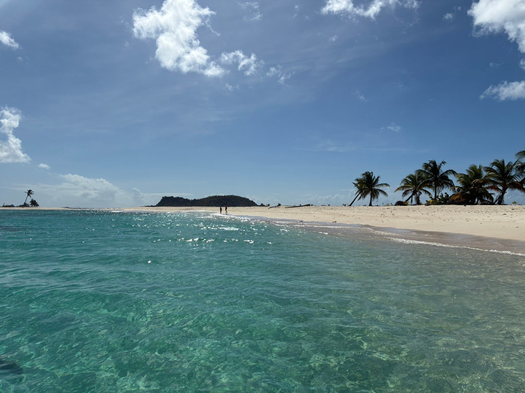Froggy's Reef Tours and Snorkeling Carriacou-Carriacou Island必去景点