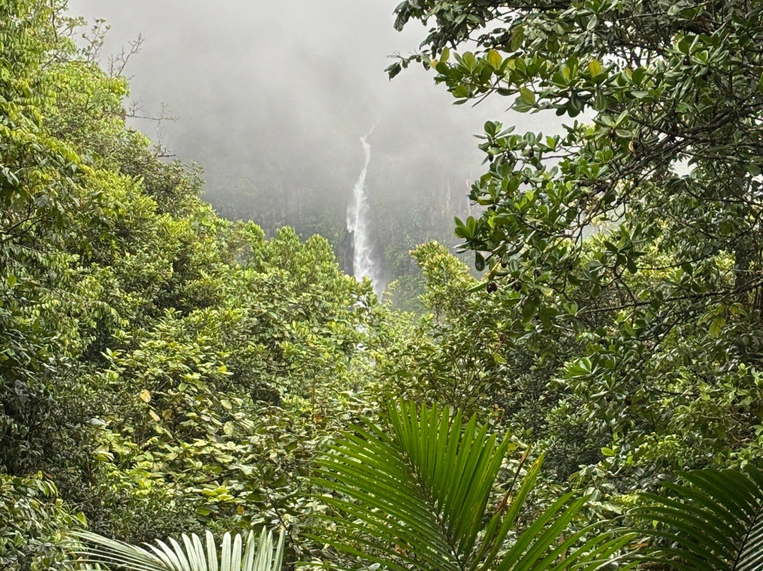 Cascade De La Riviere Carbet-Le Carbet必去景点