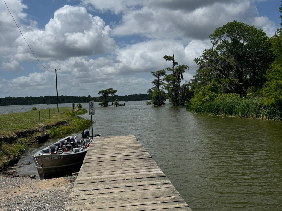 Cajun Country Swamp Tours-布里奥克斯桥必去景点