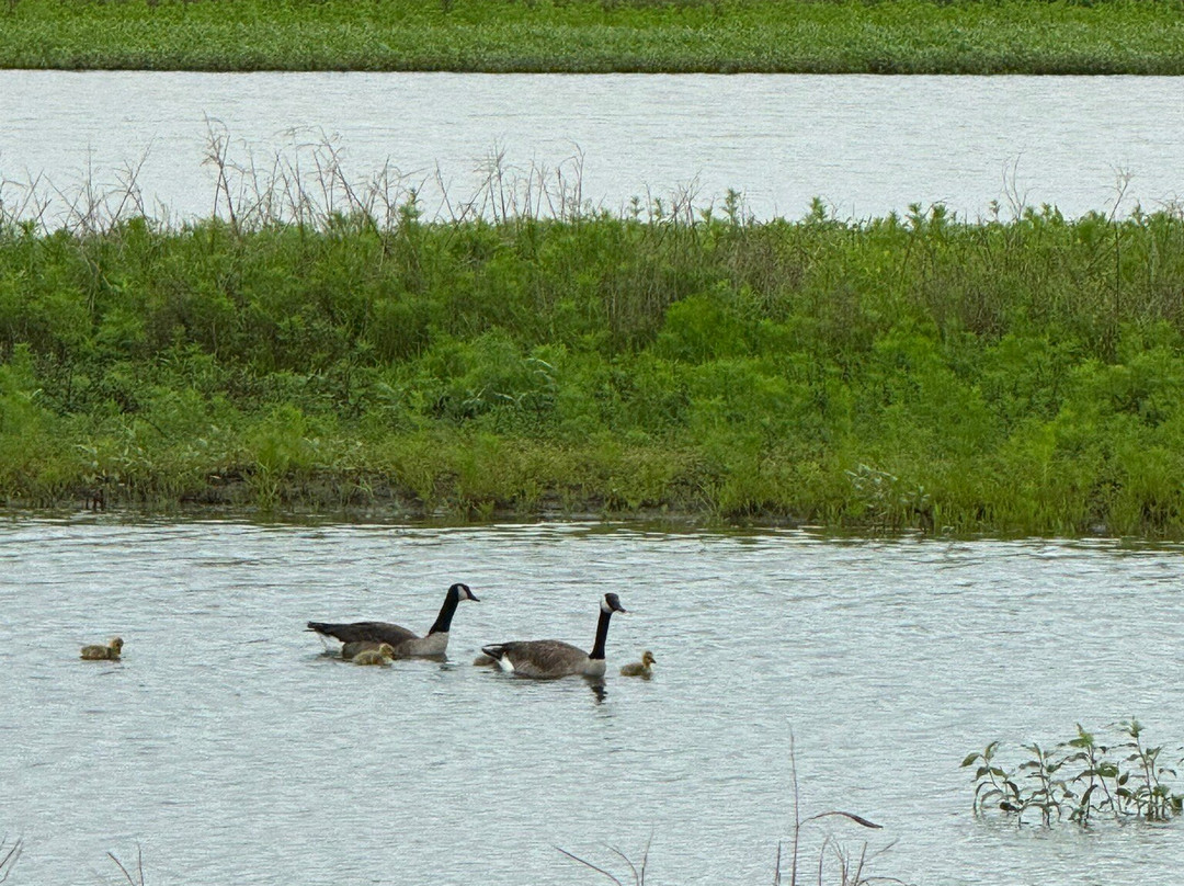 Hagerman National Wildlife Refuge-Sherman必去景点