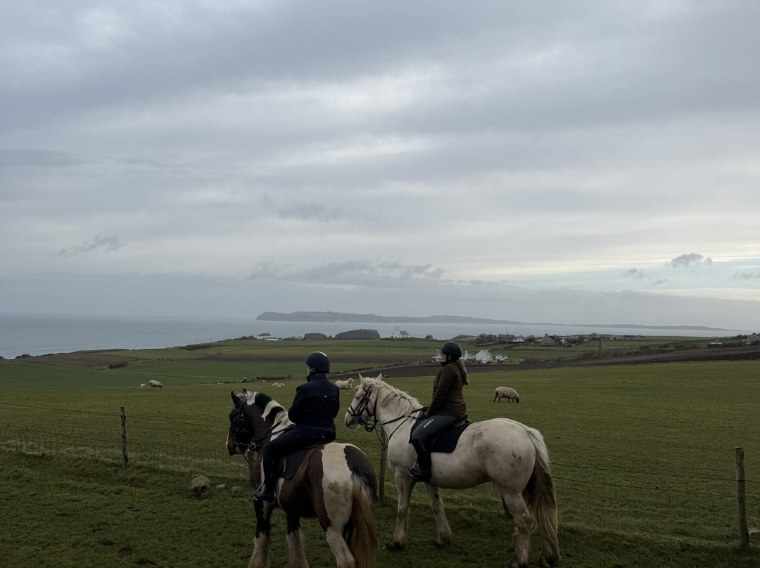 Bespoke Equestrian Ireland-都柏林必去景点