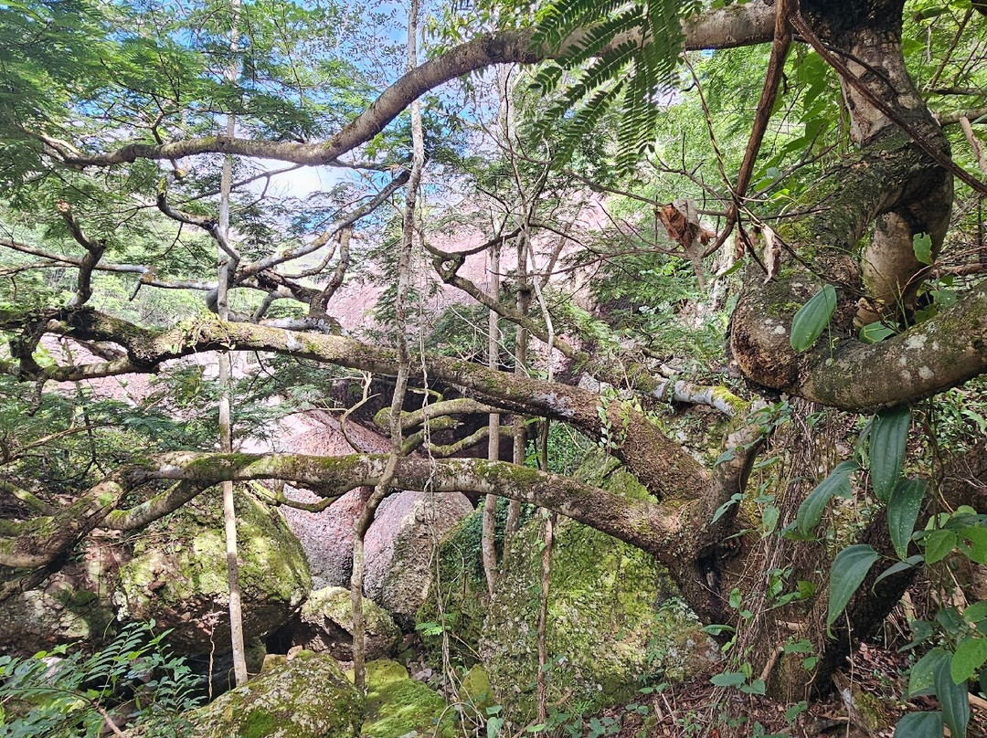 Cachoeira do Sossego-雷恩克斯必去景点
