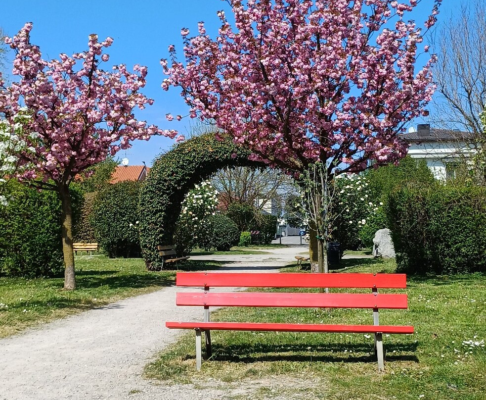 Parco Papa Giovanni Paolo Ii-塞雷尼奥必去景点