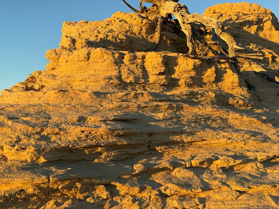 Simmo's Offroad Tours-巴瑟斯特必去景点