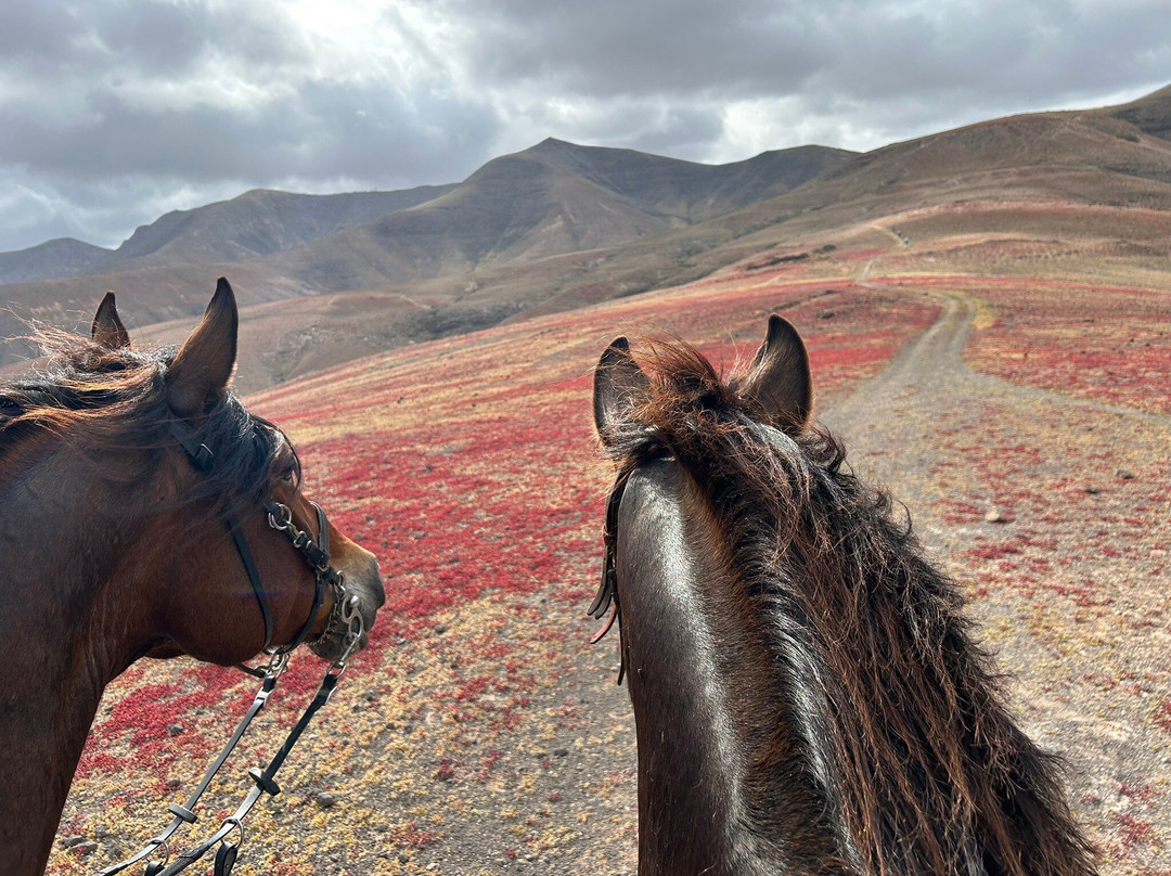 Lanzarote a Caballo-兰萨罗特必去景点
