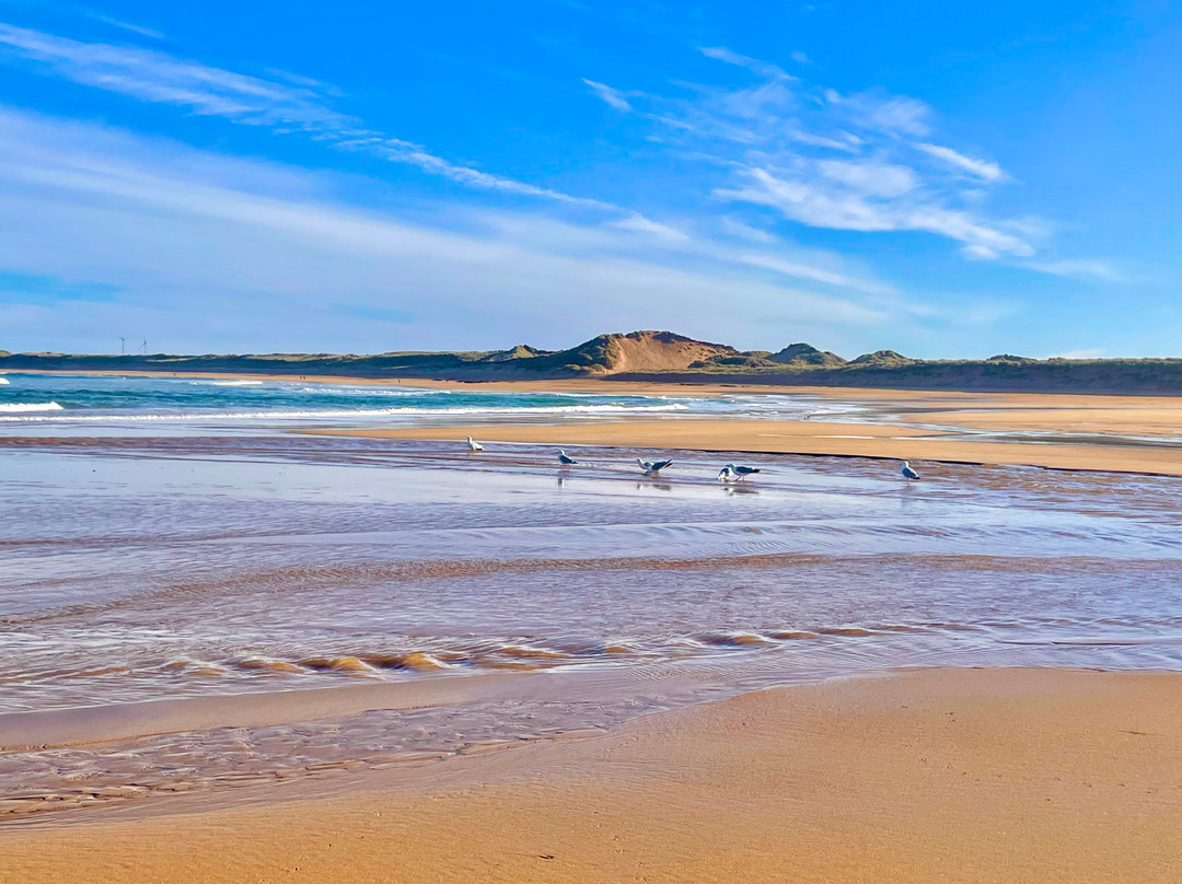 Fraserburgh Beach-Fraserburgh必去景点