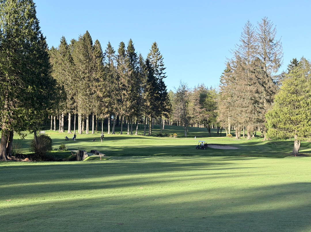 Downfield Golf Club-敦提必去景点