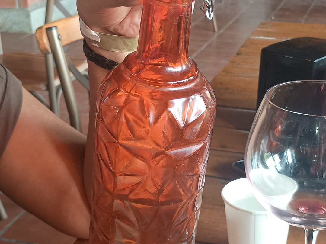 Kinvah Vineyards-班加罗尔必去景点