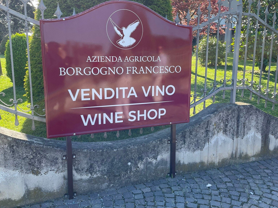 Cantina Francesco Borgogno-巴罗洛必去景点