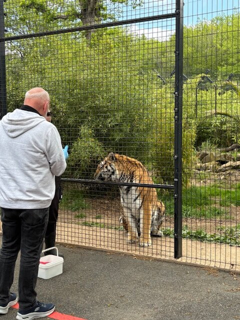 Hertfordshire Zoo-布罗克斯本必去景点