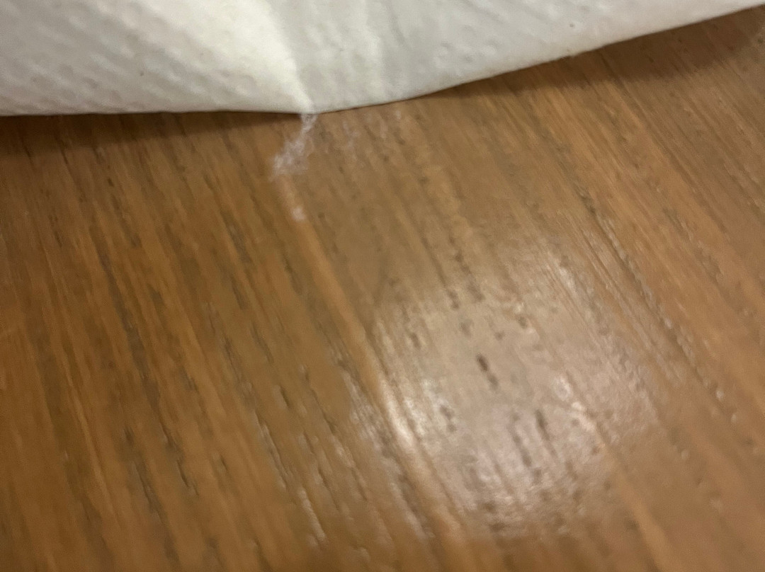 明翰湖滨大道德鲁里套房酒店主图