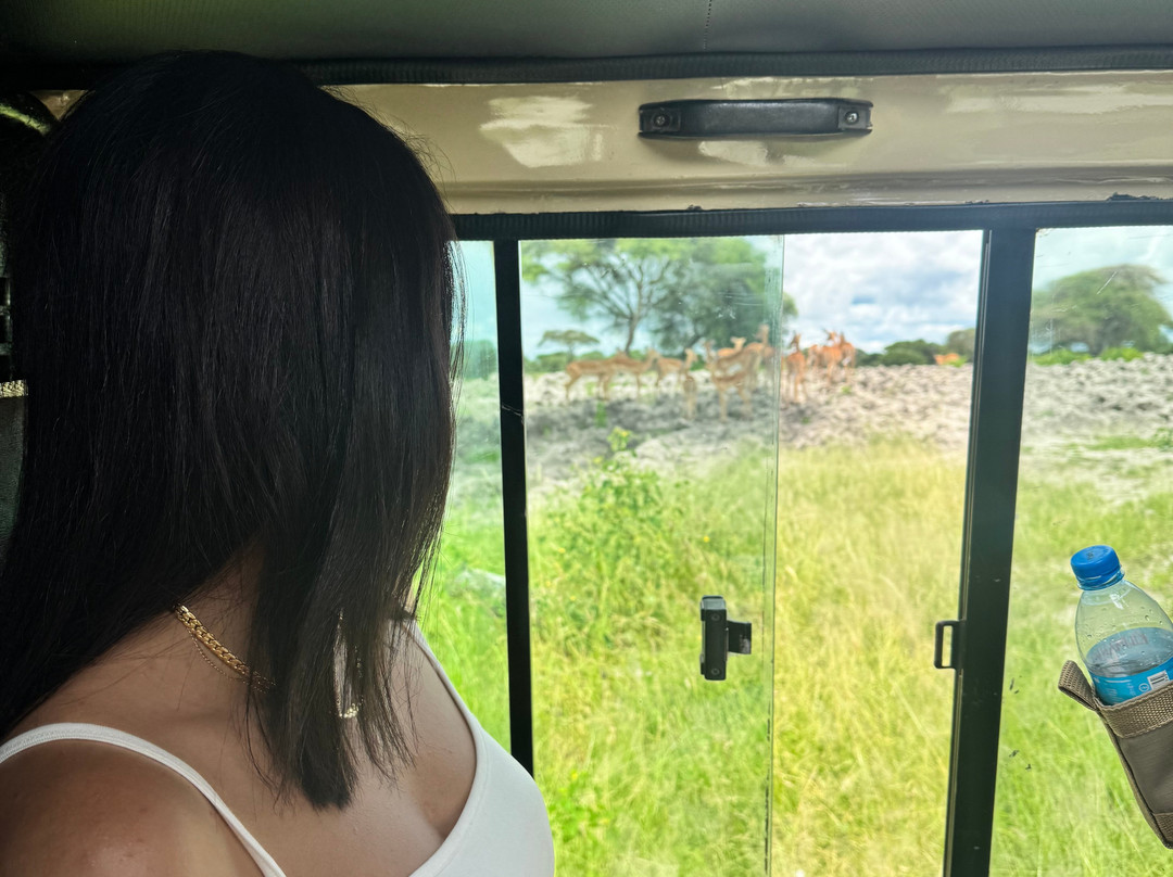 Africa Campsbay Tours-阿鲁沙必去景点