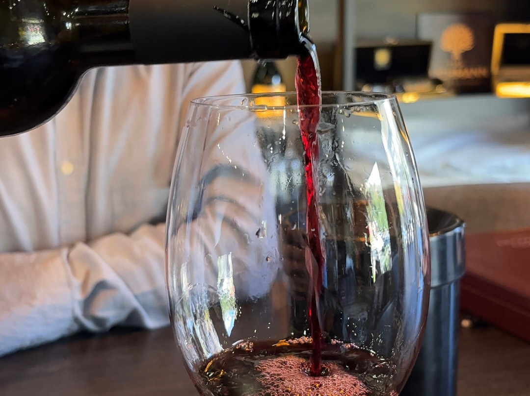Loja - Dunamis Vinhos & Vinhedos-格拉玛多必去景点