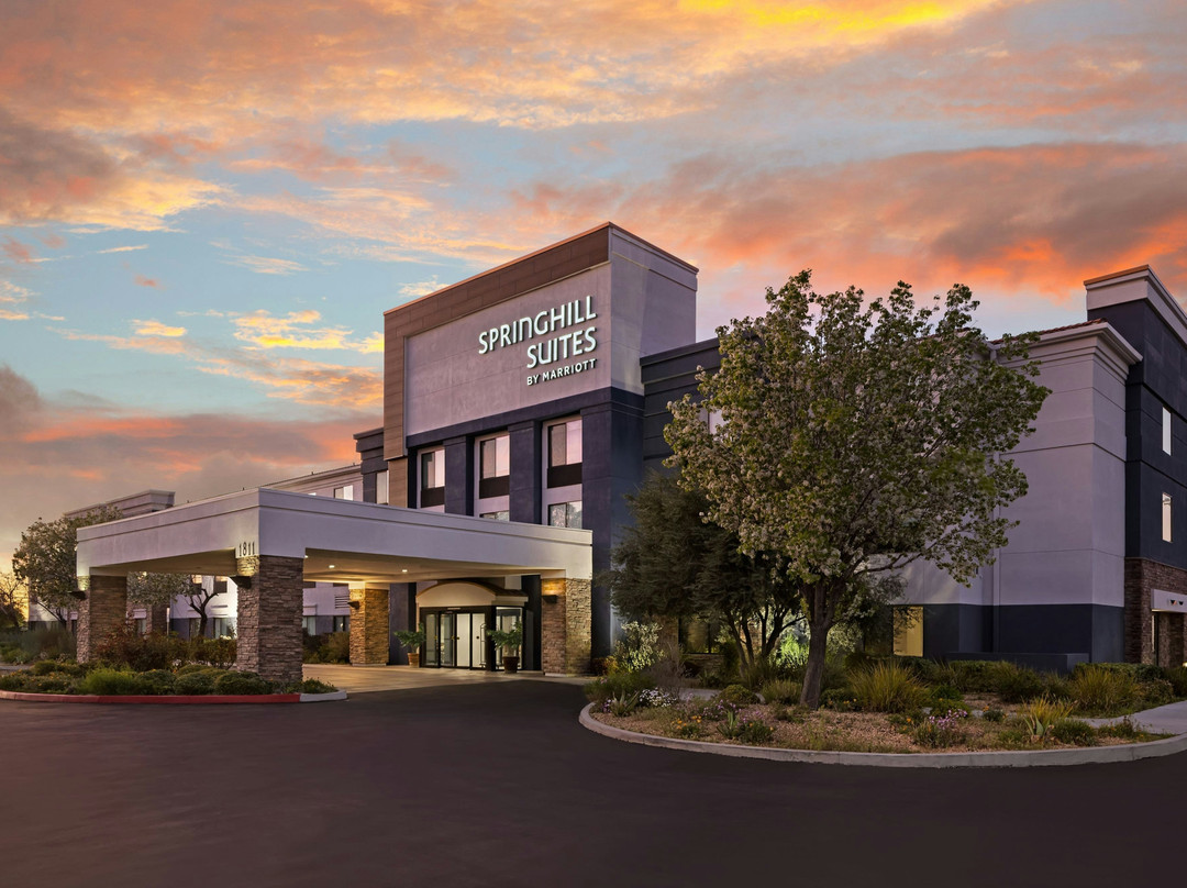 Leona Valley酒店住宿-SpringHill Suites by Marriott Lancaster Palmdale