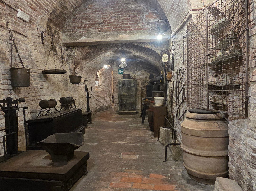 Azienda Agricola Ercolani-蒙特普尔恰诺必去景点