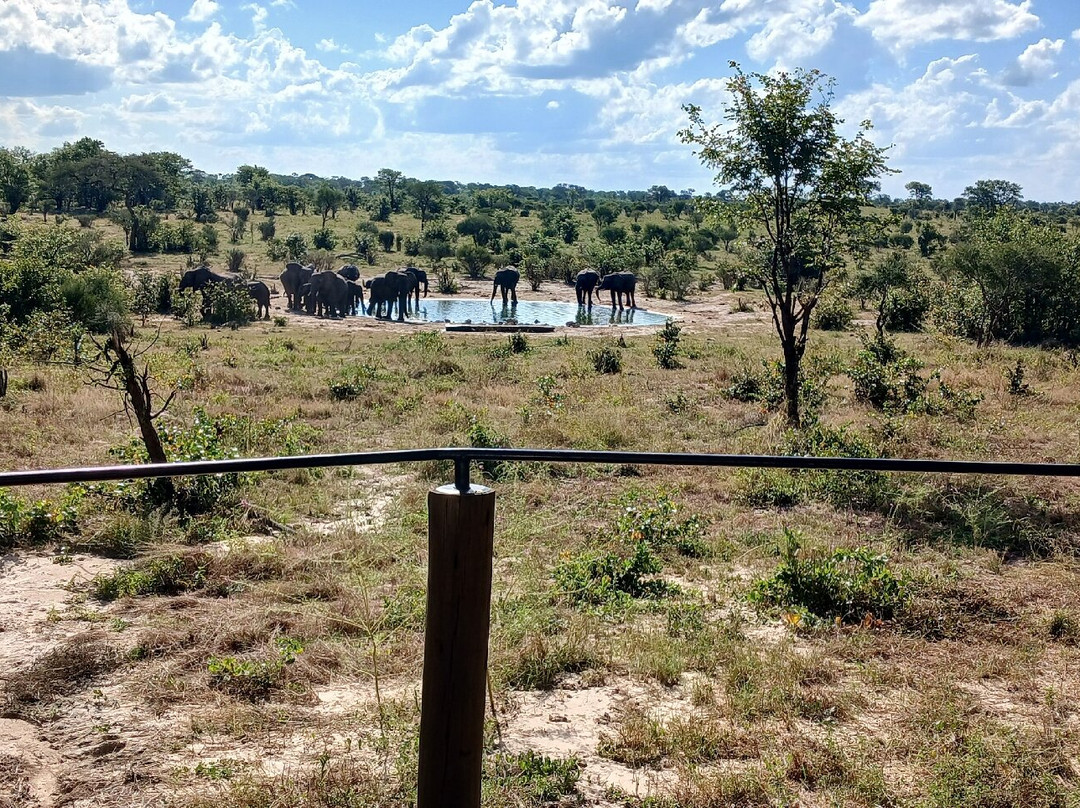 Hideaways Mankwe Tented Retreat, Greater Moremi主图