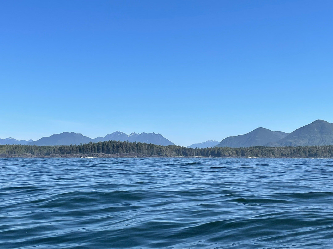 Jamie's Whaling Station and Adventure Centre - Ucluelet-尤克卢利特必去景点
