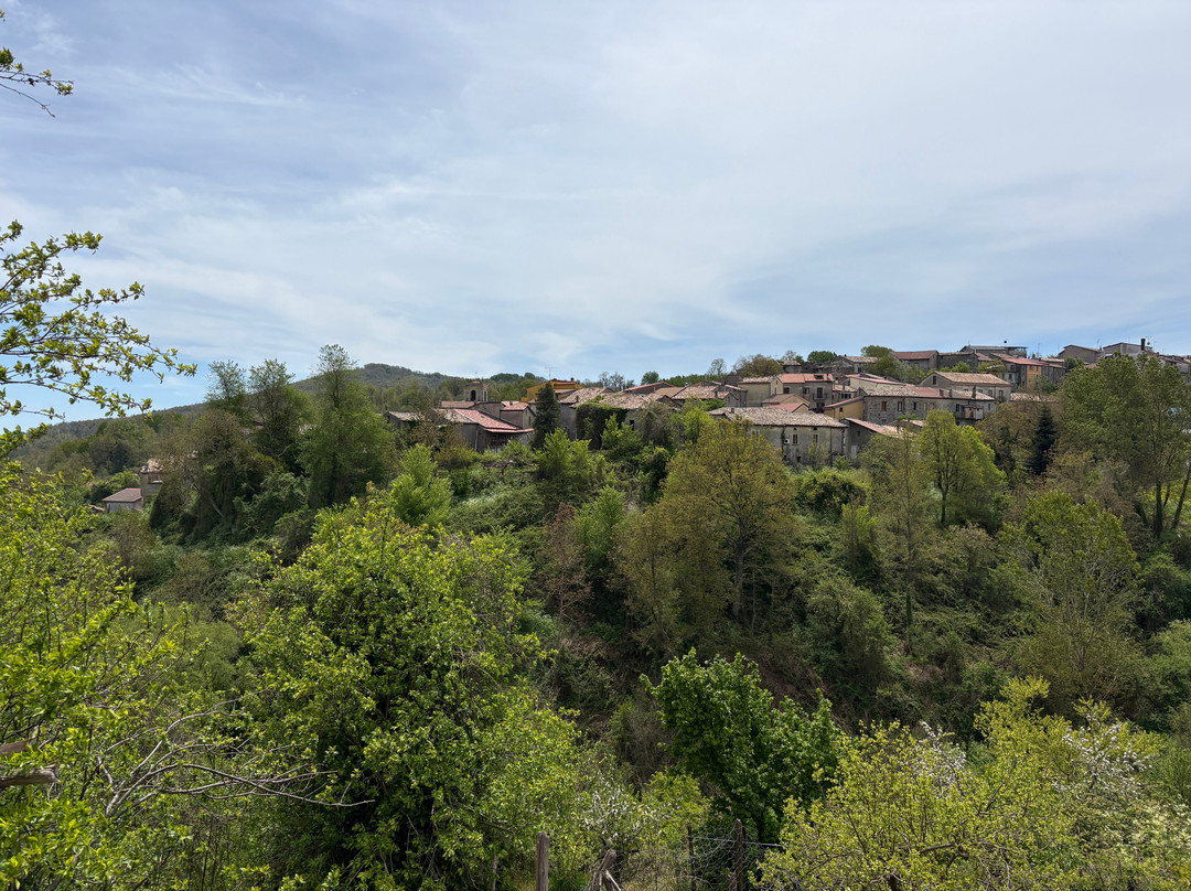 Vita Calabra Tours-阿尔托蒙泰必去景点