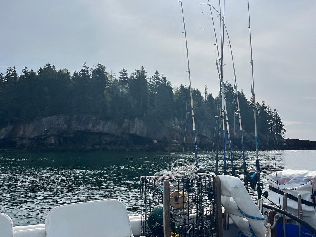 Bar Harbor Fishing Tours-山漠岛必去景点