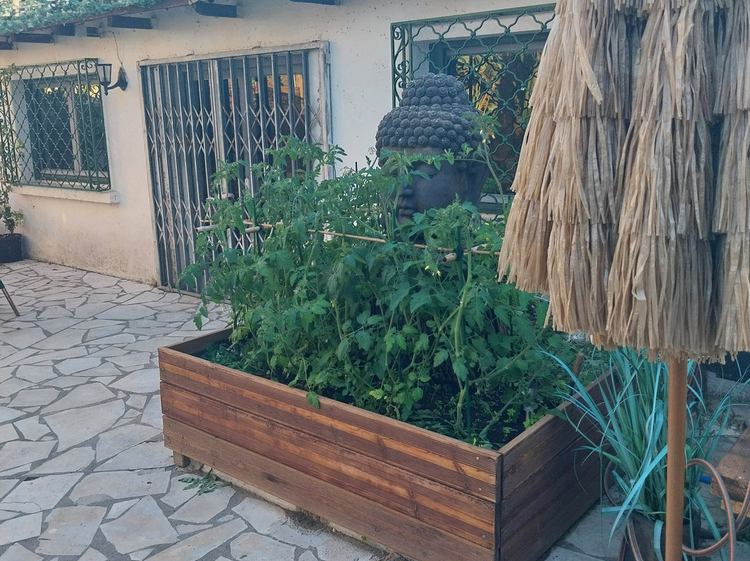 Le Jardin