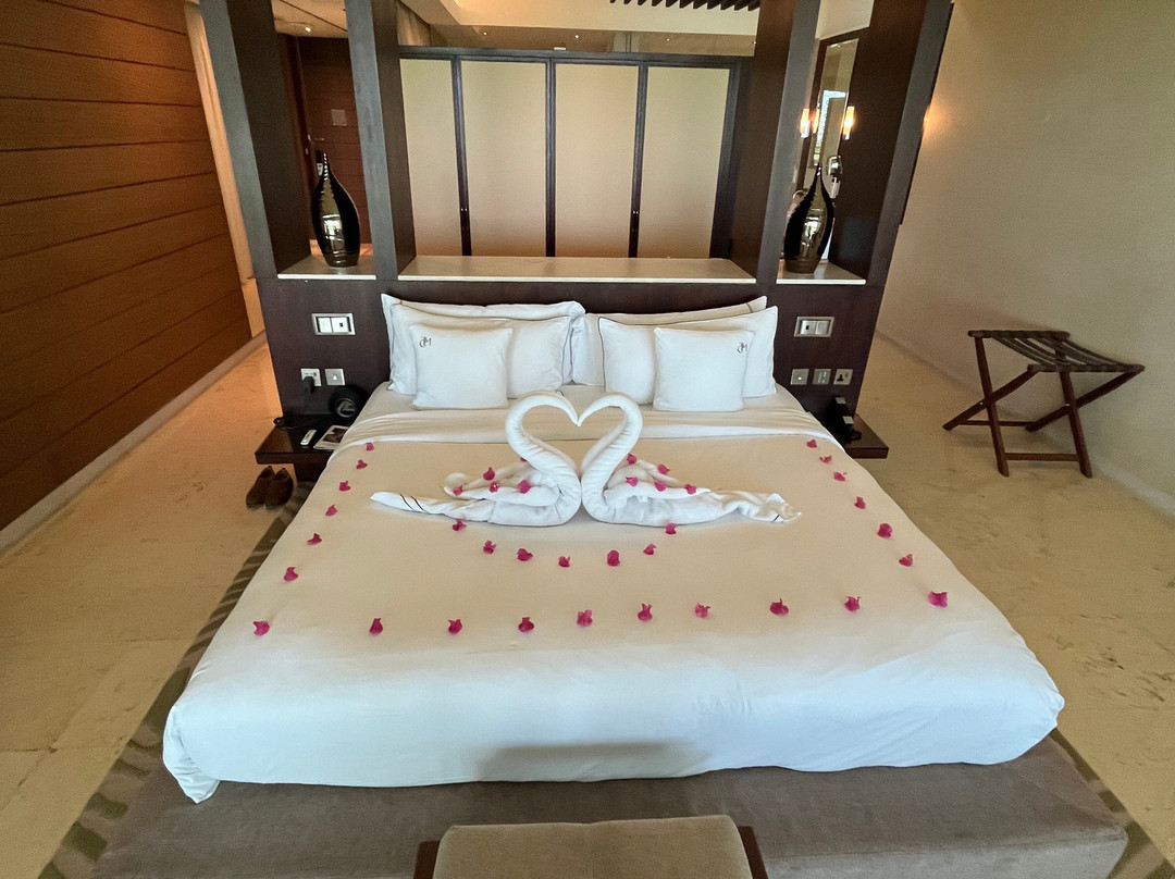 美利亚Meliá Collection沙漠棕榈主图