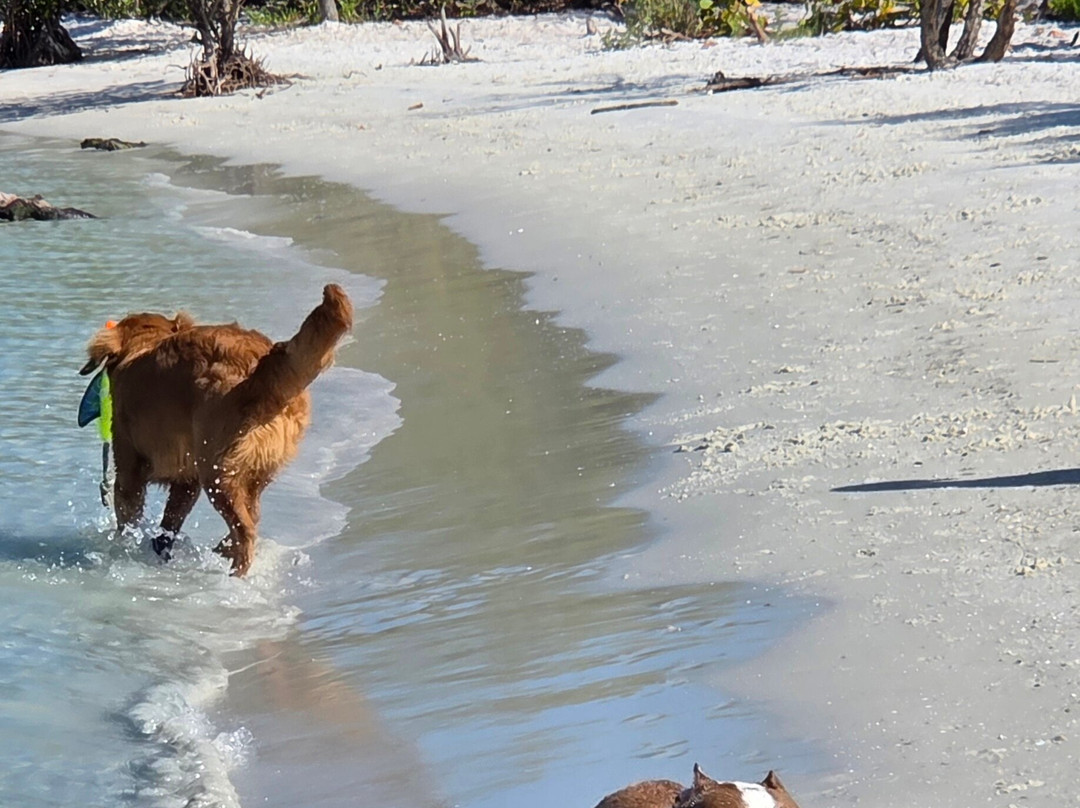 Bonita Springs Dog Park-博尼塔斯普林斯必去景点