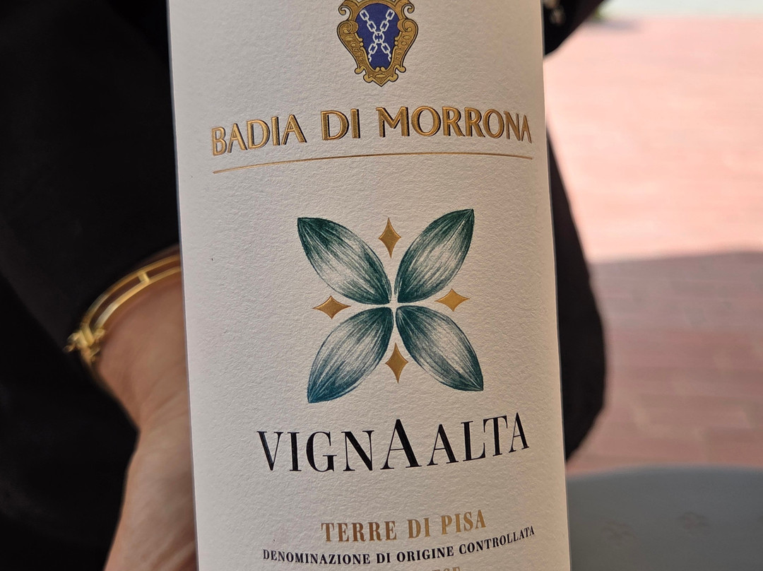 Badia Di Morrona Wine Tour & Tasting-Terricciola必去景点
